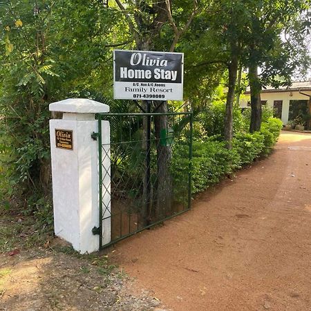 אנוראדפורה Olivia Homestay מראה חיצוני תמונה