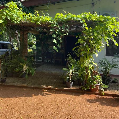 אנוראדפורה Olivia Homestay מראה חיצוני תמונה